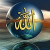 wael.soliman33