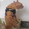 kucing_imupp