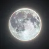 rozee836