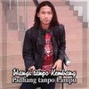 rayapaspal42