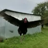 ppinnkw