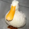 itzz_986cute