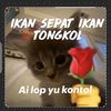 orang_dingginn