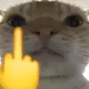reruuii_vuy