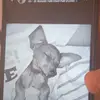 videos_graciosos.14