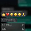 bel_0t
