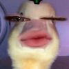 l4l4two_