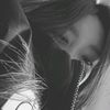 apin_l
