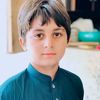 syedahsanshah823