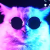 catman110011