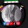 user1594520274301
