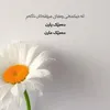 xoshnaw8346