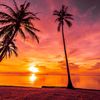 user61182015212157