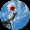 abdullahbhatti4335
