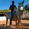 davi.alves7807