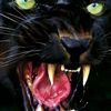 user442000027101