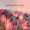 rinad._08
