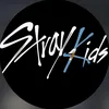 skz8arg