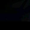 fadelin.enman