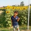 user281346311516