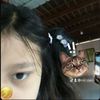 zul.zxnn