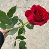 mem || ﮼ميم