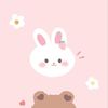 caa.pinkeu