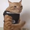 alkiswaa_