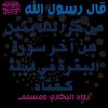 kamaal78686
