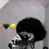 darwincaalito4