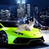 lunaorionlamborghini