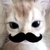 goituilatuongvy