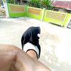 jpla_aa