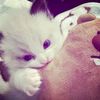 yulia.we83
