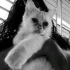 habiba.habiba.lam