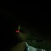 zarni.bhone.myint