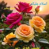 ahadali44088
