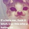 meiiaja