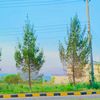 khanm2357