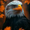 user14075200091386