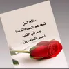 ali.botit3