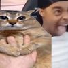 sharigankillertheepic