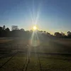 footy.clips91