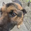 marko.rajkovic8