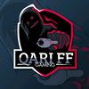 qari.ff683