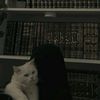 user1803305073403