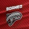 borxzfaa022
