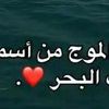 user81068053766517