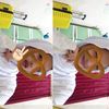 adikssxpiww