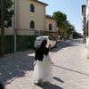 asya92_